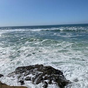 Meet your Posher, Sunny